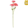 Haste pelargonium 69cm
