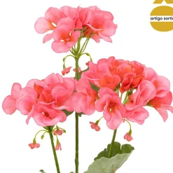 Haste pelargonium 69cm