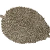 Individual FOLHA castanha em seagrass