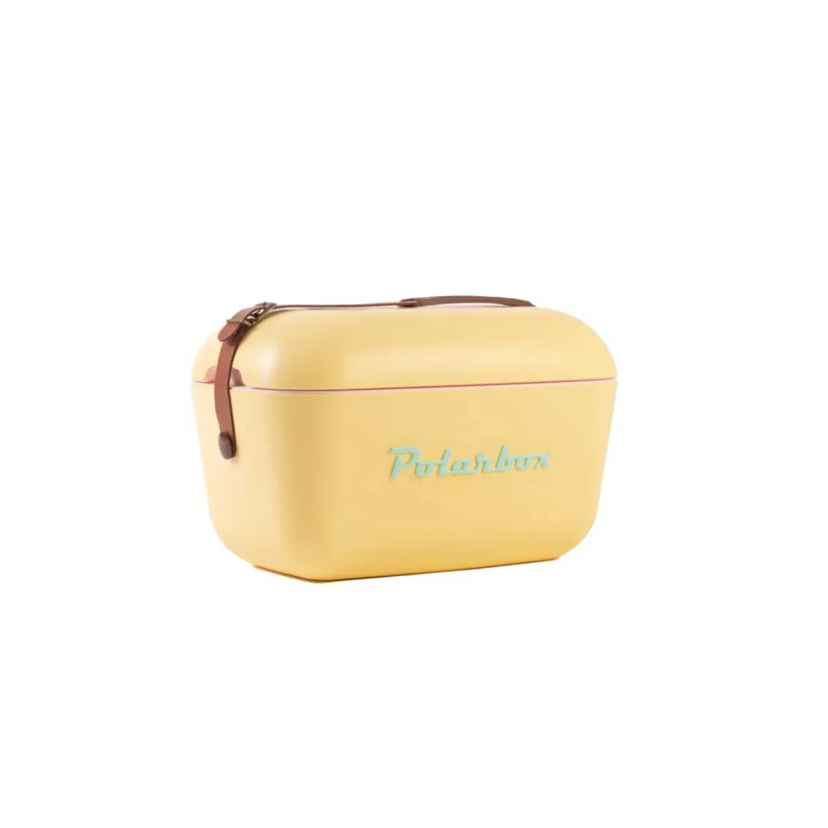 Mala térmica polarbox amarelo 20l