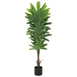 Palmeira bambu OLME verde 120cm