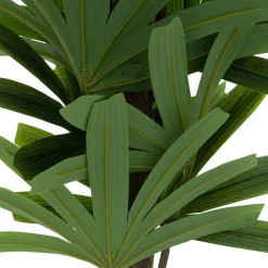 Palmeira bambu OLME verde 120cm