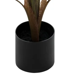 Palmeira bambu OLME verde 120cm