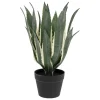 Planta agave verde 55cm