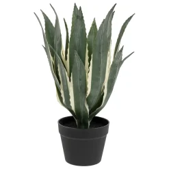 Planta agave verde 55cm