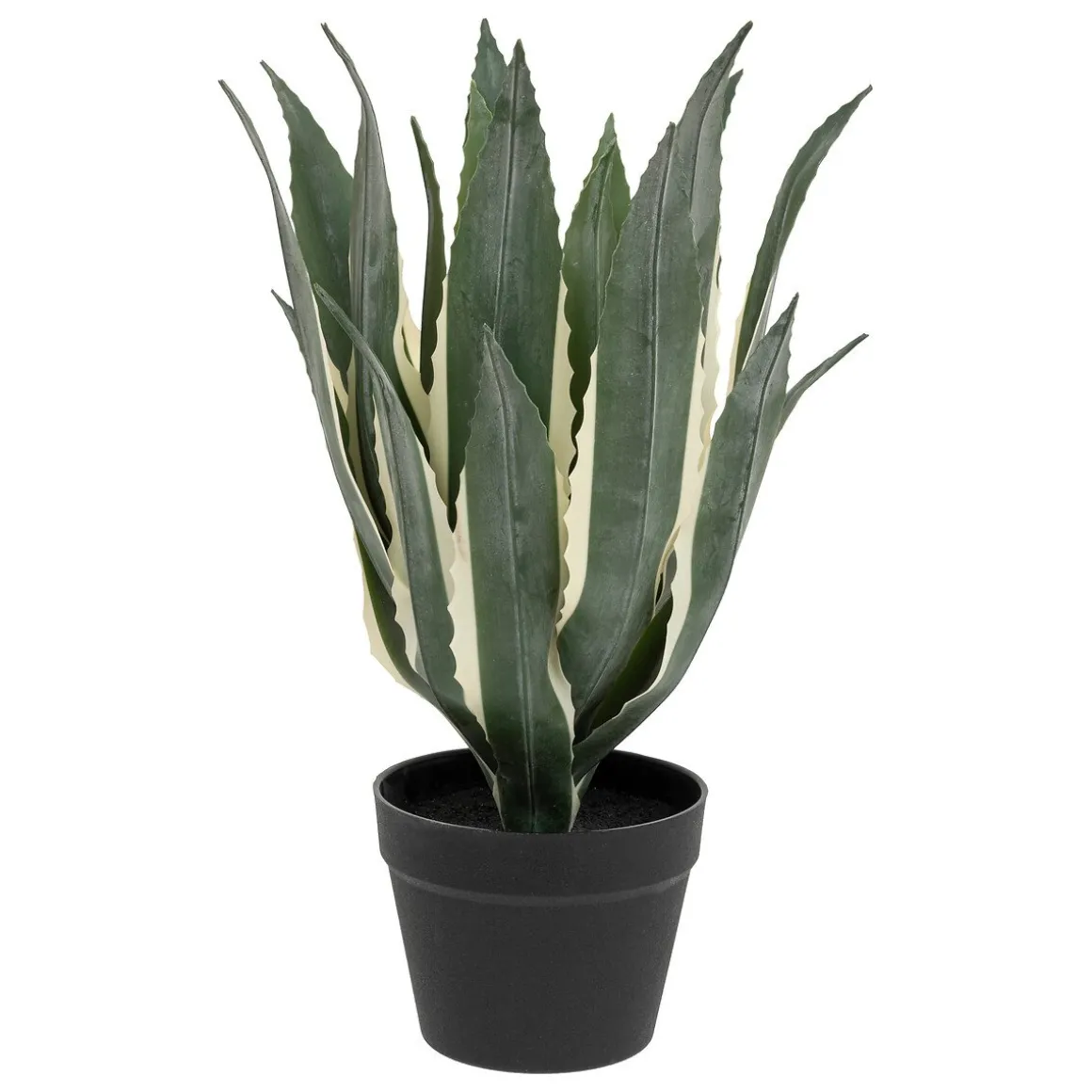 Planta agave verde 55cm