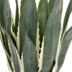Planta agave verde 55cm