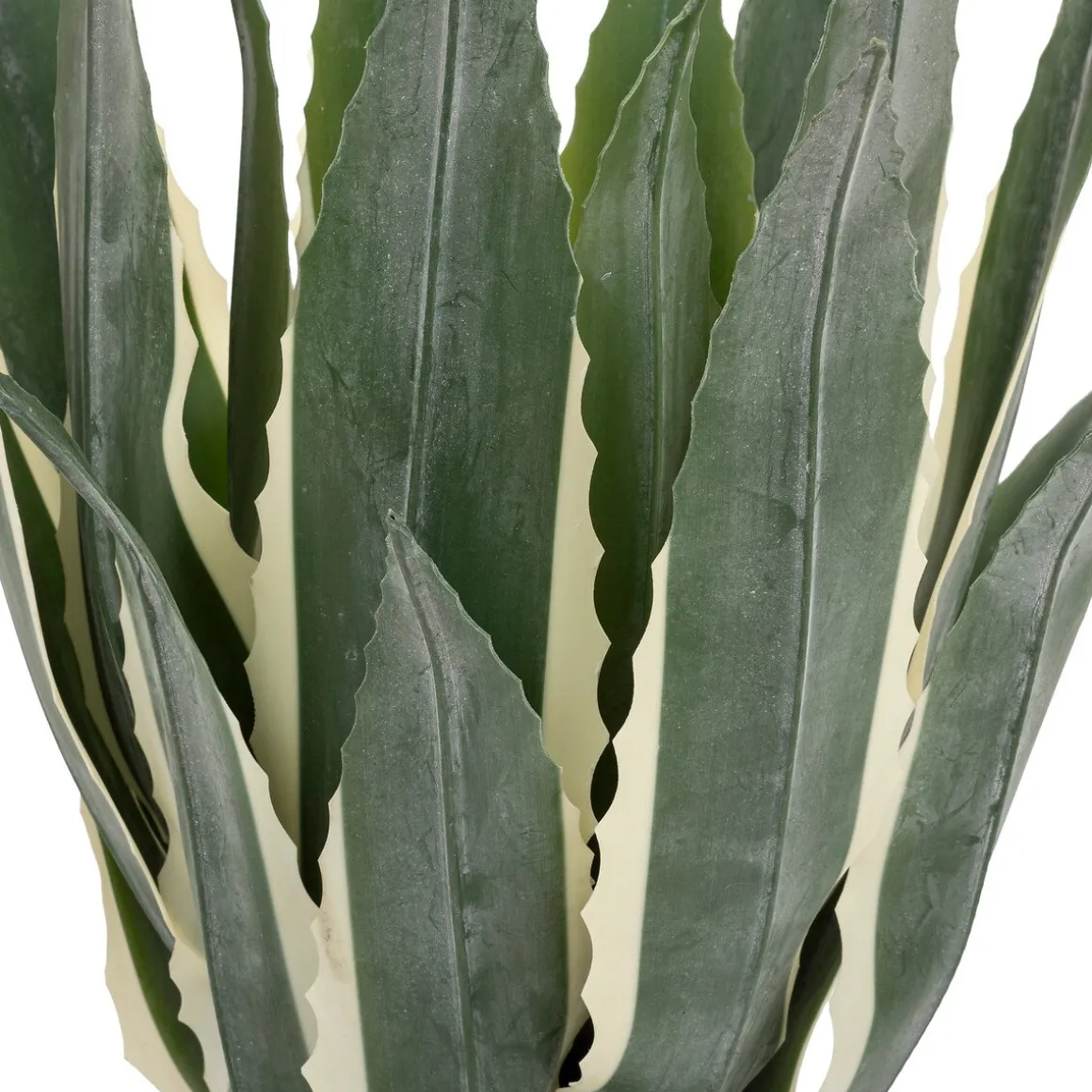 Planta agave verde 55cm