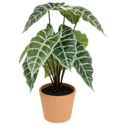 Planta alocasia verde 43cm