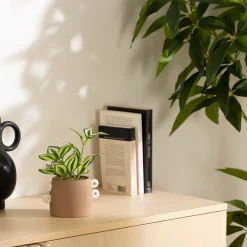 Planta artificial OLME com vaso de cerâmica 22cm
