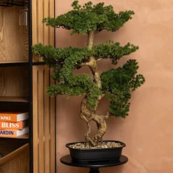 Planta bonsai artificial com vaso 86cm