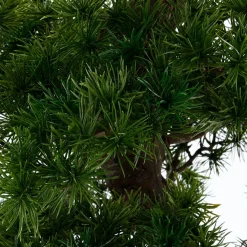 Planta bonsai artificial em vaso