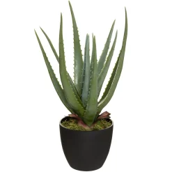 Planta cato aloe vera real TOUCH 44cm