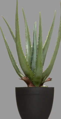 Planta cato aloe vera real TOUCH 44cm