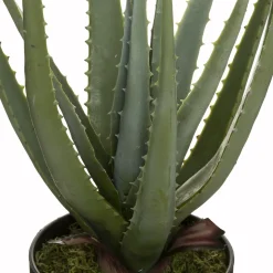 Planta cato aloe vera real TOUCH 44cm