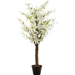 Planta cerejeira branca com vaso
