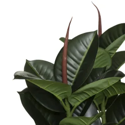 Planta ficus verde escura artificial 120cm