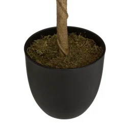 Planta limoeiro artificial com vaso 73cm