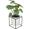 Planta maranta artifical com suporte 32cm