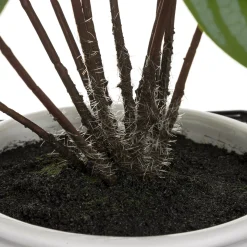 Planta maranta artifical com suporte 32cm