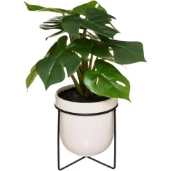 Planta monstera com vaso cerâmico 33cm