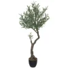 Planta oliveira com vaso 140cm