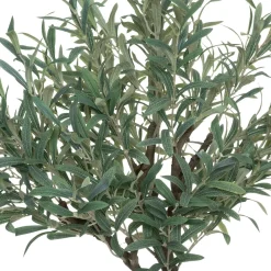 Planta oliveira com vaso 140cm