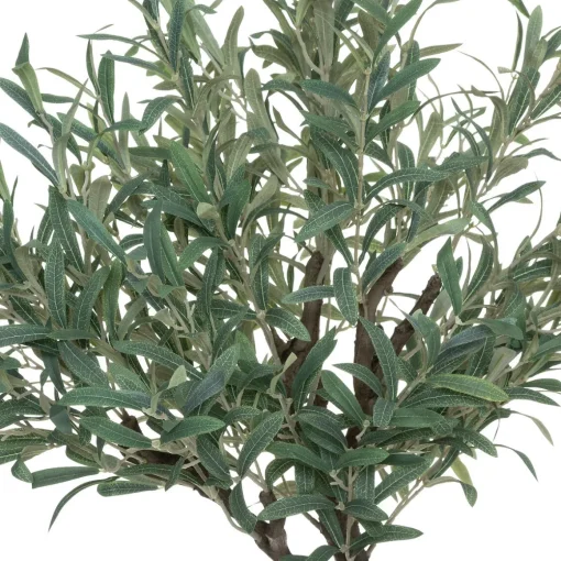 Planta oliveira com vaso 140cm