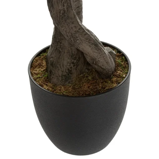 Planta oliveira com vaso 140cm