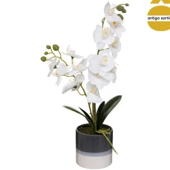Planta orquídea com vaso cerâmico