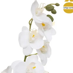 Planta orquídea com vaso cerâmico