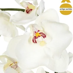 Planta orquídea com vaso cerâmica 46cm
