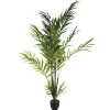 Planta palmeira areca com vaso 235cm