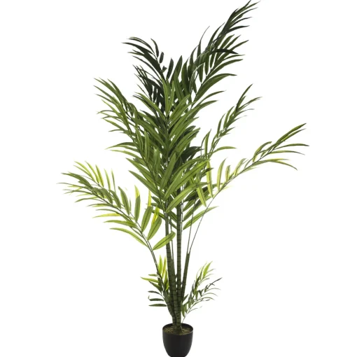 Planta palmeira areca com vaso 235cm