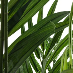 Planta palmeira areca com vaso 235cm