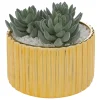 Planta suculenta com vaso dourado em cerâmica
