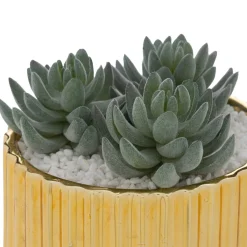 Planta suculenta com vaso dourado em cerâmica