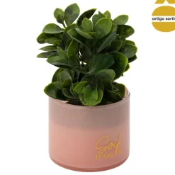 Planta suculenta TAYLI de vidro 18cm