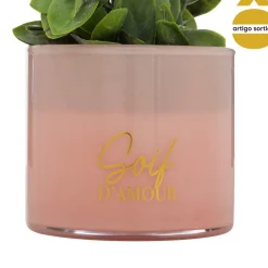 Planta suculenta TAYLI de vidro 18cm