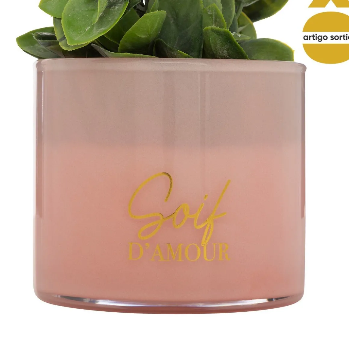 Planta suculenta TAYLI de vidro 18cm