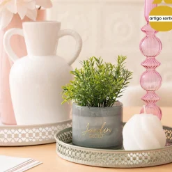 Planta suculenta TAYLI de vidro 18cm