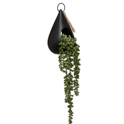 Planta suspensa com vaso de cerâmica