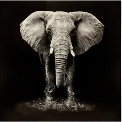Quadro decorativo elefante