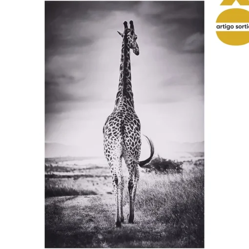 Quadro decorativo figura animal