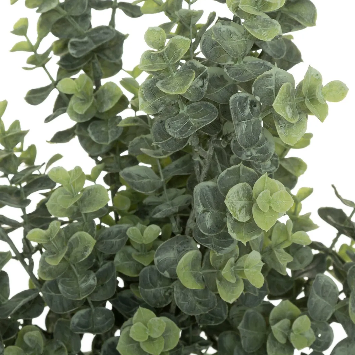 Ramo de eucalipto verde 64cm