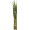 Ramo seco verde 79cm