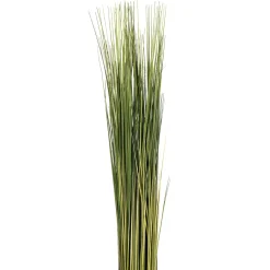 Ramo seco verde 79cm