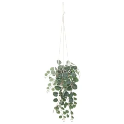 Vasinho suspenso com planta verde CARAVANE