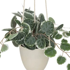 Vasinho suspenso com planta verde CARAVANE