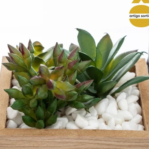 Vaso com casa led com planta